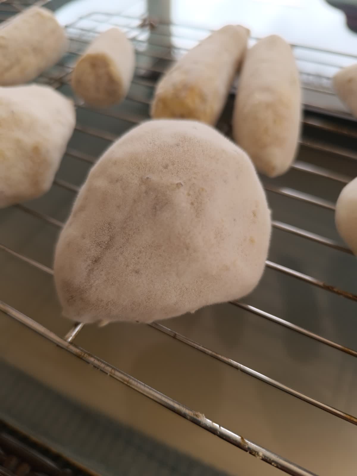 Grille d'inoculation processus d'affinage DryMe