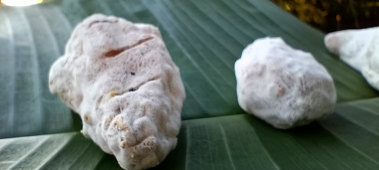 Pièces de vivricuterie affinée DryMe sur plat polynésien